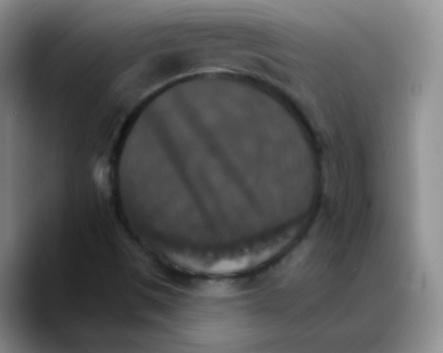 X0000089721497200707201810