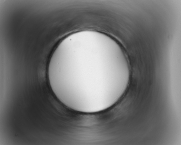 X0000089721499200707201810