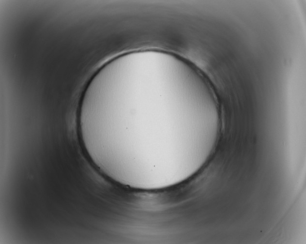 X0000089721500200707201810