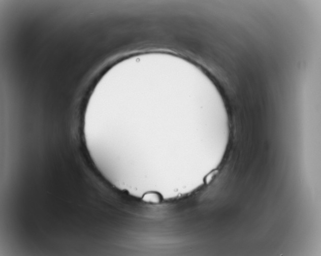 X0000089721502200707201810
