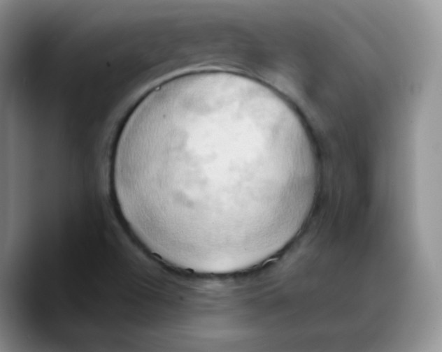 X0000089721504200707201810