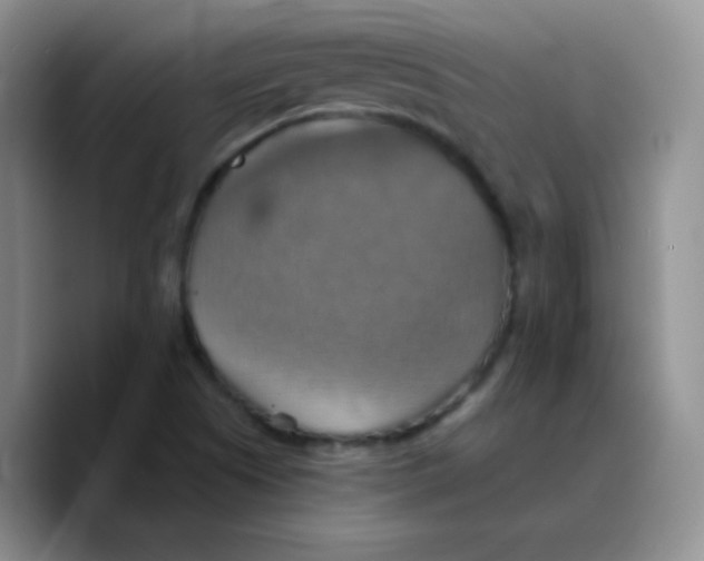 X0000089721505200707201810