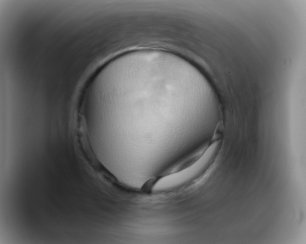 X0000089721506200707201810
