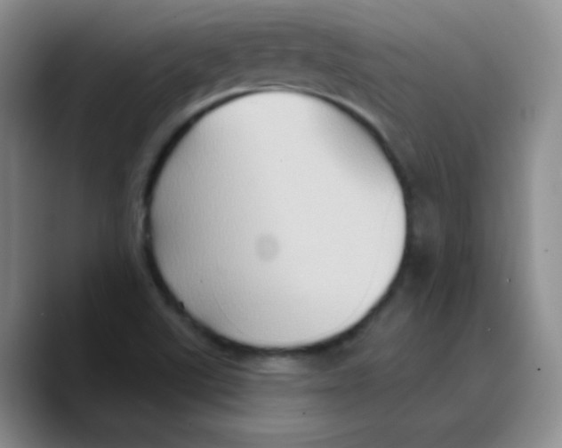 X0000089721507200707201810
