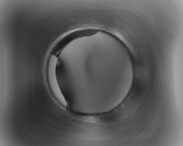 X0000089721508200707201810