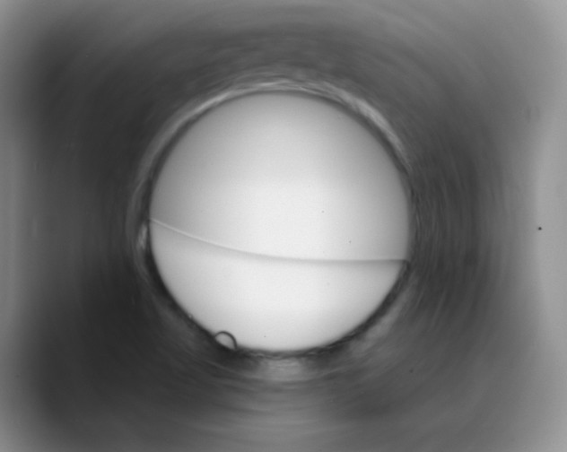 X0000089721509200707201810
