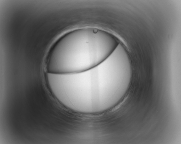 X0000089721510200707201810