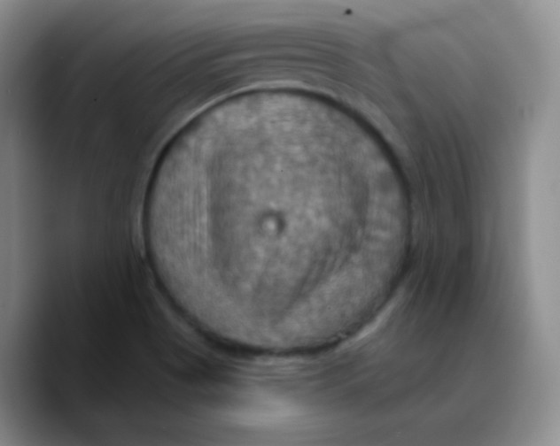 X0000089721513200707201810