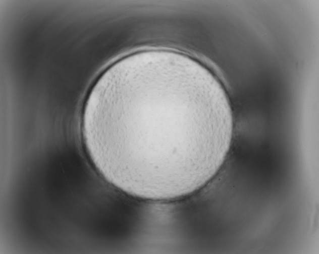 X0000089721514200707201810