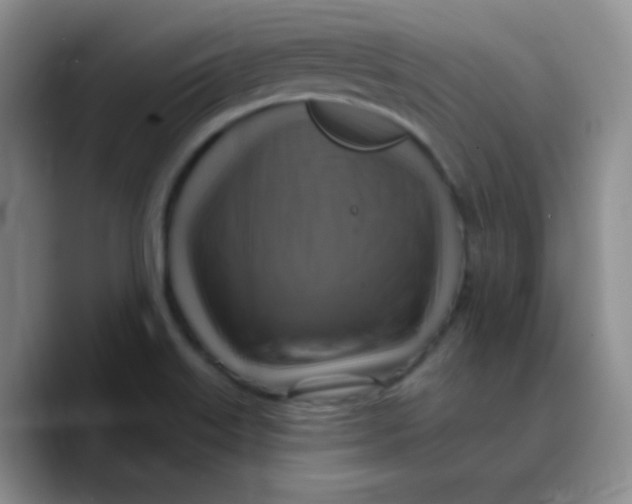 X0000089721515200707201810
