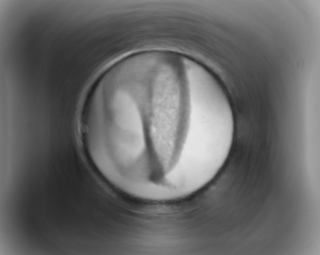 X0000089721517200707201810