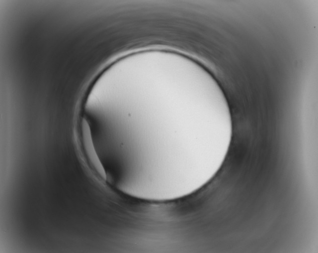 X0000089721518200707201810