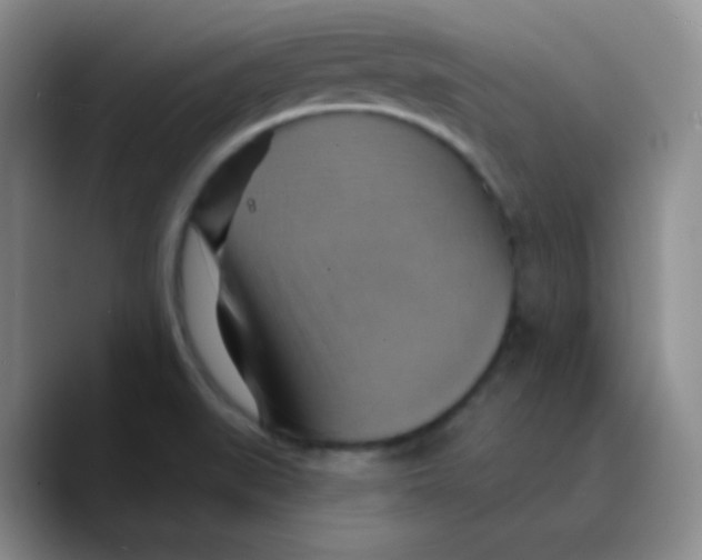X0000089721519200707201810