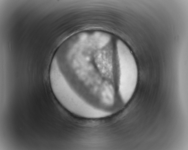 X0000089721521200707201810