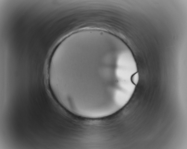 X0000089721522200707201810
