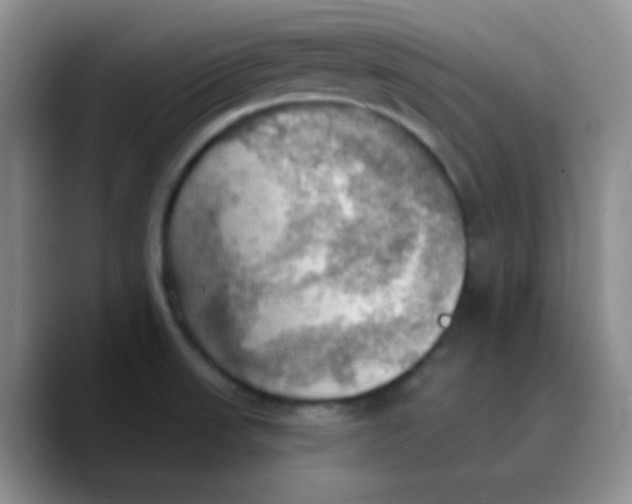 X0000089721523200707201810