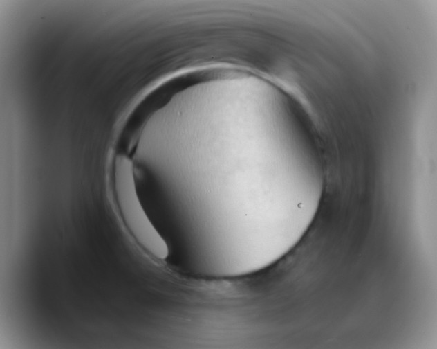 X0000089721524200707201810