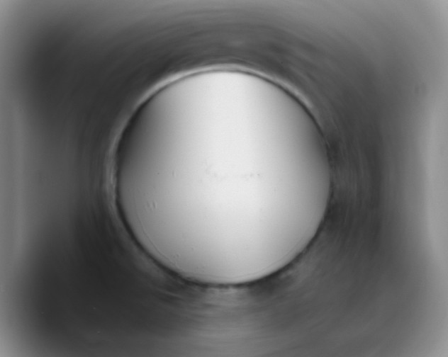 X0000089721526200707201810