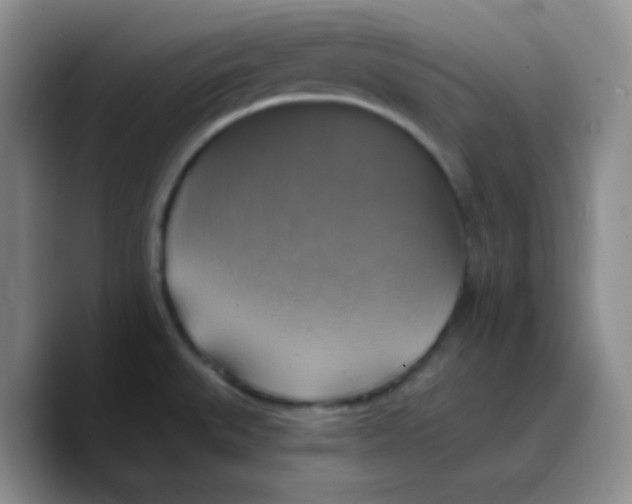 X0000089721527200707201810