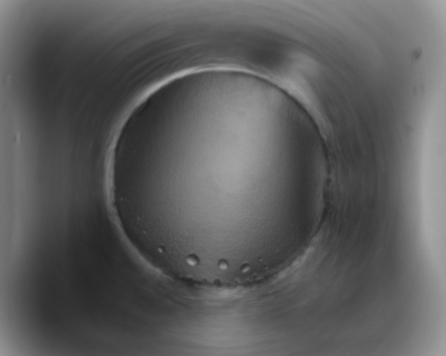 X0000089721528200707201810