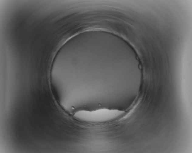 X0000089721529200707201810