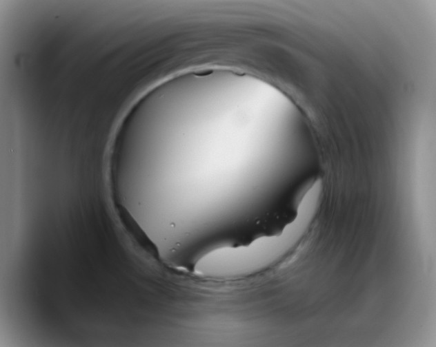 X0000089721530200707201810