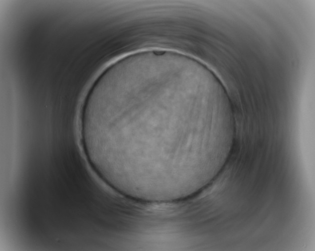 X0000089721531200707201810