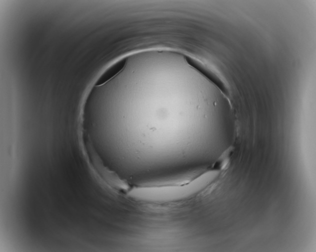 X0000089721532200707201810