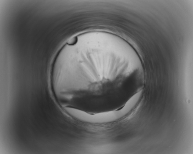 X0000089721533200707201810