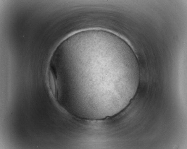 X0000089721534200707201810