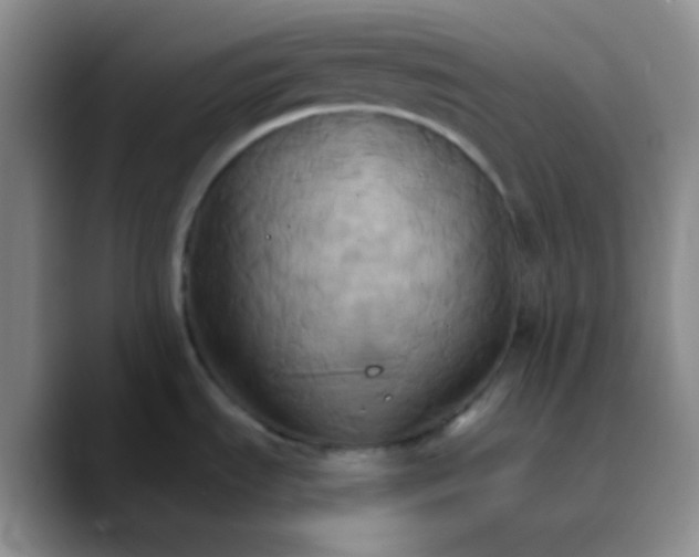 X0000089721535200707201810