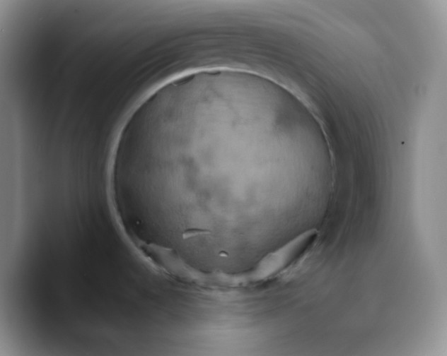 X0000089721536200707201810