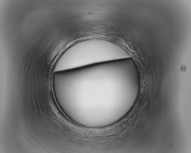 X0000089730002200706210927