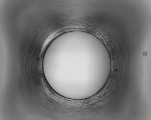 X0000089730004200706210927
