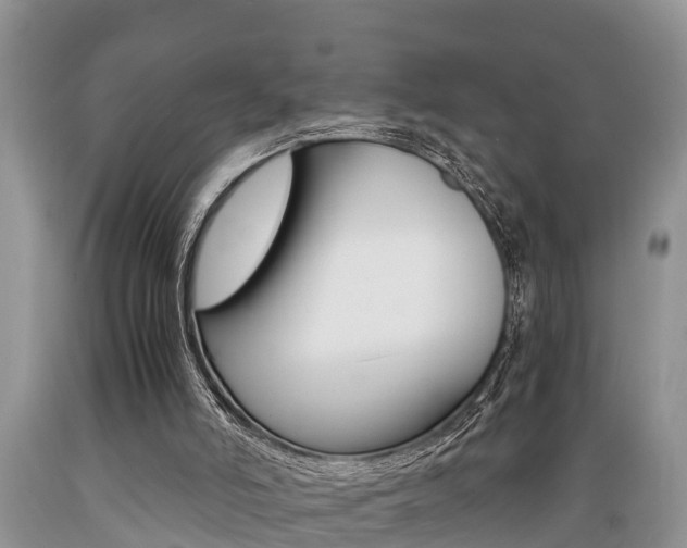 X0000089730006200706210927