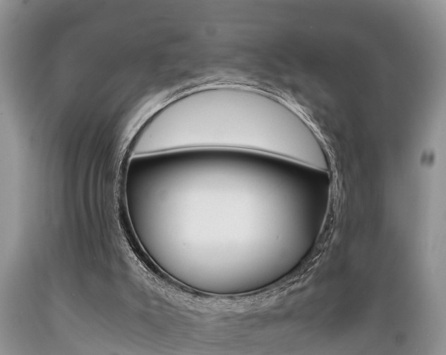 X0000089730007200706210927