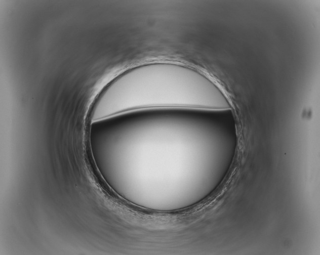 X0000089730008200706210926