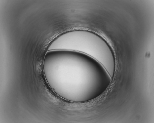 X0000089730009200706210926