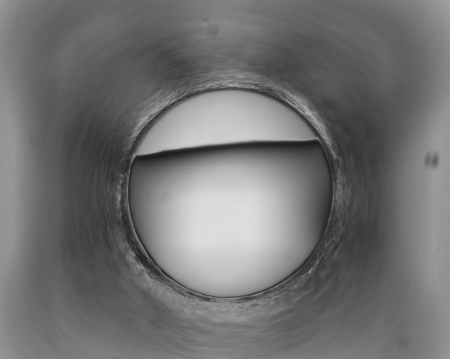 X0000089730010200706210926