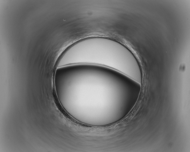 X0000089730011200706210926