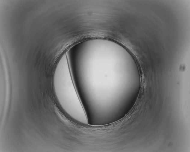 X0000089730013200706210926