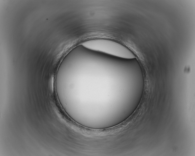 X0000089730014200706210926