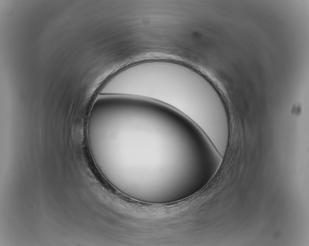 X0000089730015200706210926