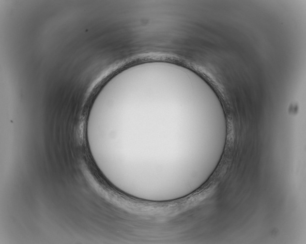 X0000089730016200706210926