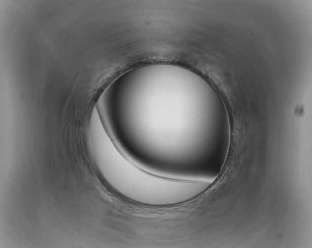 X0000089730017200706210926