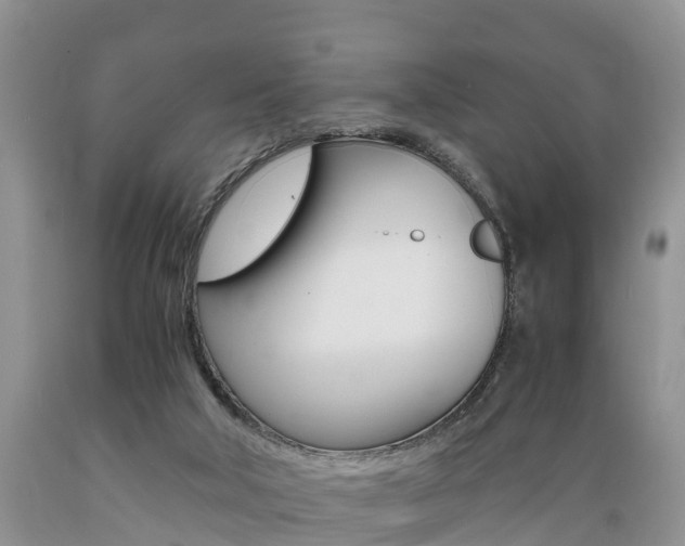 X0000089730018200706210926