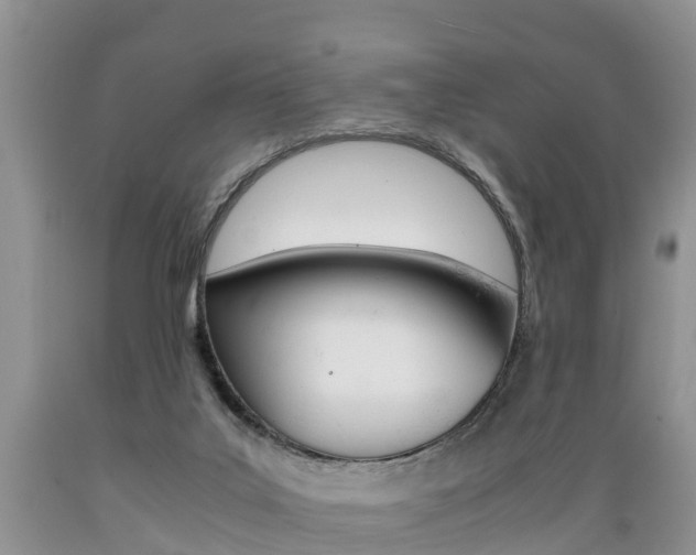 X0000089730019200706210926