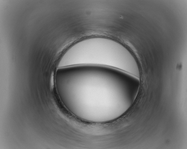 X0000089730020200706210926
