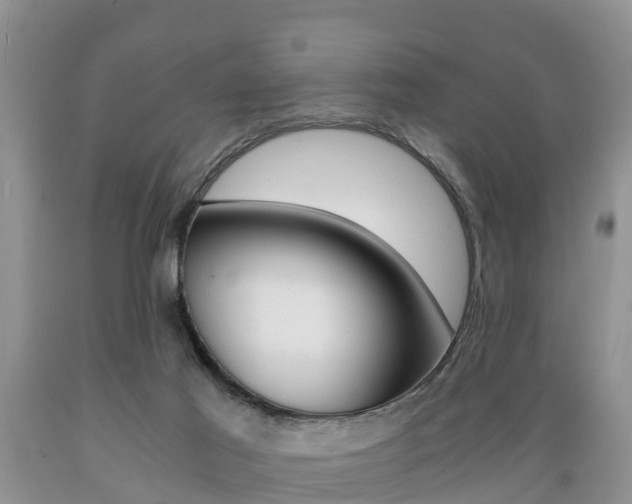 X0000089730021200706210926