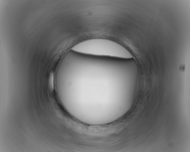 X0000089730022200706210926